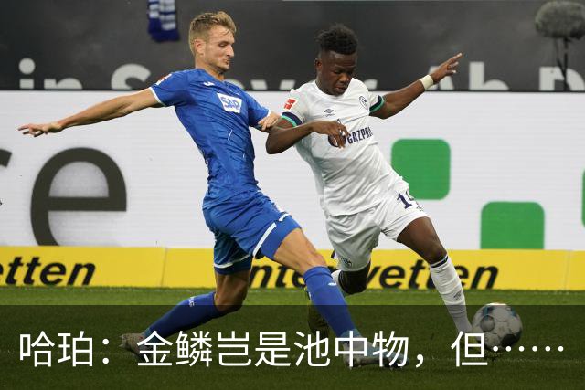 哈珀：金鳞岂是池中物，但……